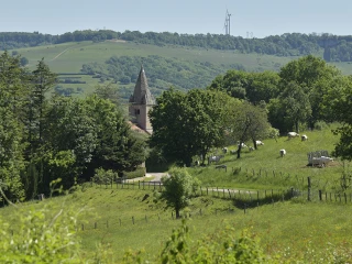 Partez à la découverte de la Bourgogne